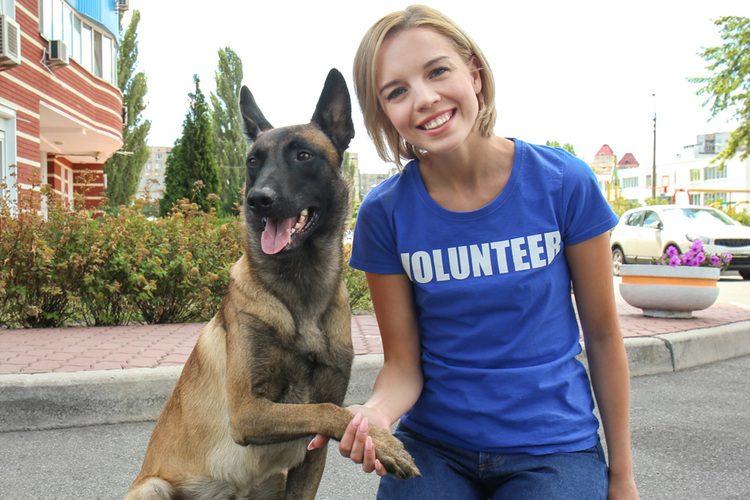 Volunteer with dog